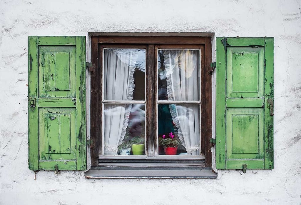 Lime Green Window Shutter