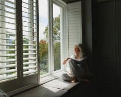 White Internal Wood Shutter White Internal Wood Shutter