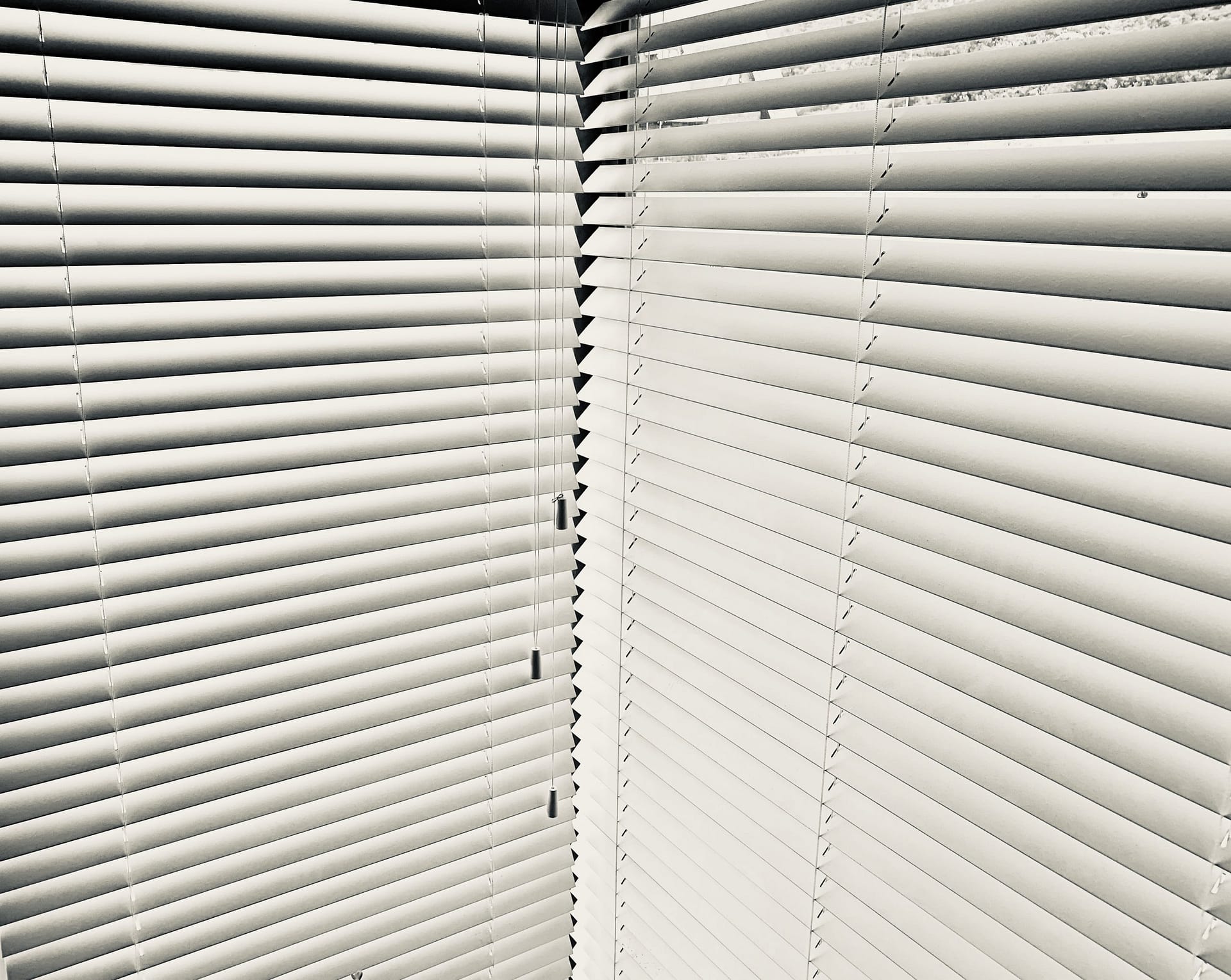 window blinds