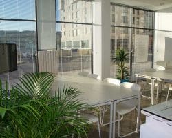 Aluminium Venetian Blinds